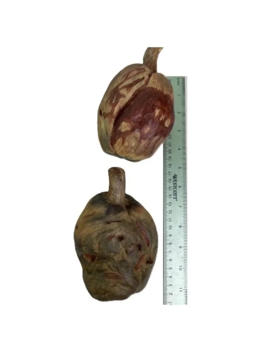 Autumn Gourd Pumpkin or Seed Pod Nature Decoration Faux Wood 5 Pc